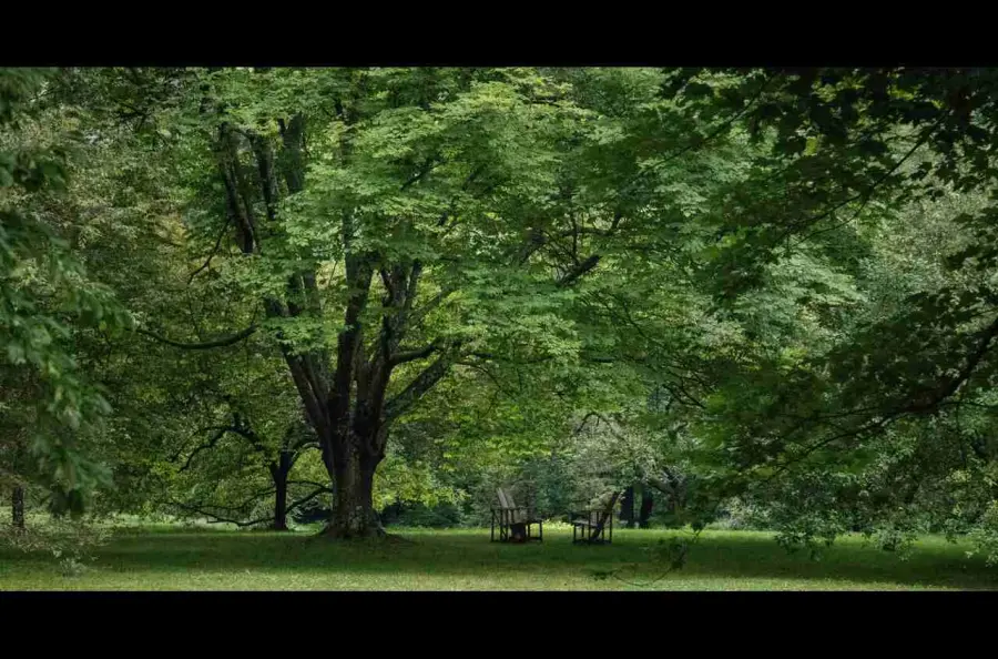 Irrigazione dei campi: tutti gli aspetti da considerare e gli strumenti di cui servirsi