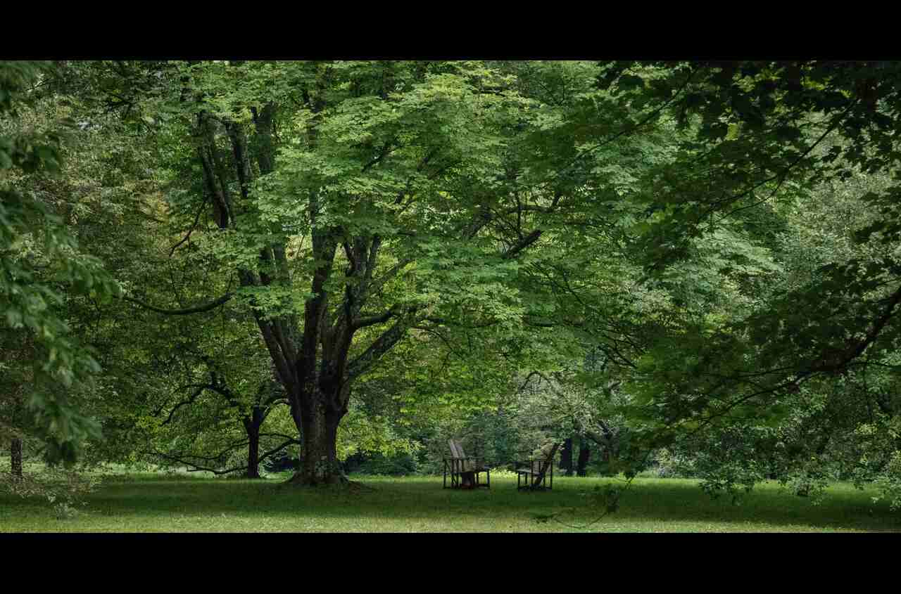 Irrigazione dei campi: tutti gli aspetti da considerare e gli strumenti di cui servirsi