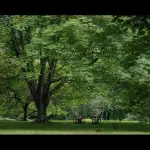 Irrigazione dei campi: tutti gli aspetti da considerare e gli strumenti di cui servirsi