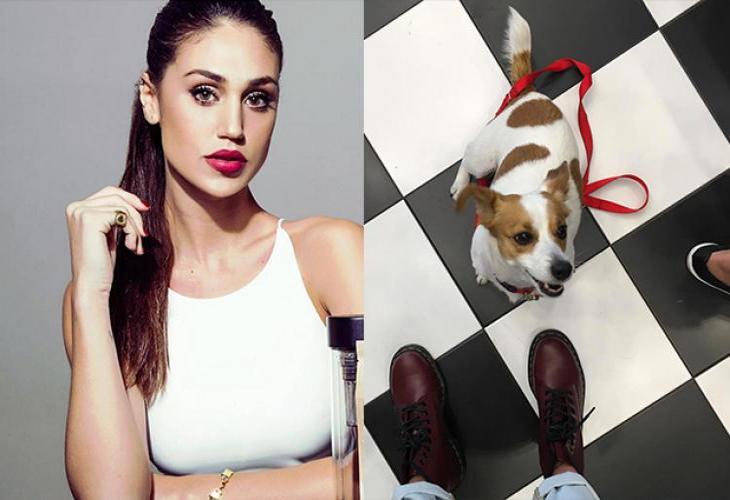 Cecilia Rodriguez smarrisce Aspirina: annuncio sul web per ritrovarlo