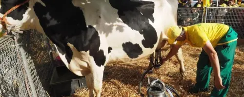 Latte e derivati con etichetta indicante origine: allevatori italiani in festa