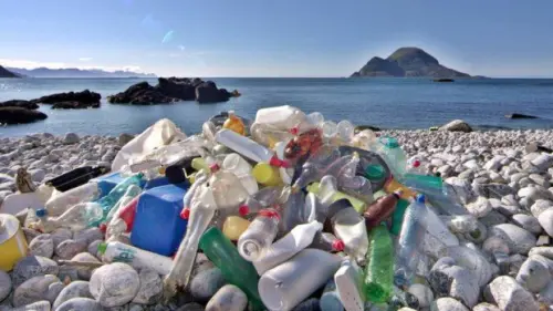 714 rifiuti su 100 metri di spiaggia: plastica e polistirolo al top