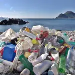714 rifiuti su 100 metri di spiaggia: plastica e polistirolo al top