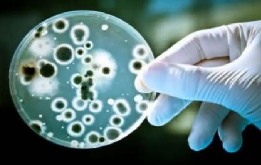 Batterio degli incubi colpisce donna in Pennsylvania: resiste al colistin