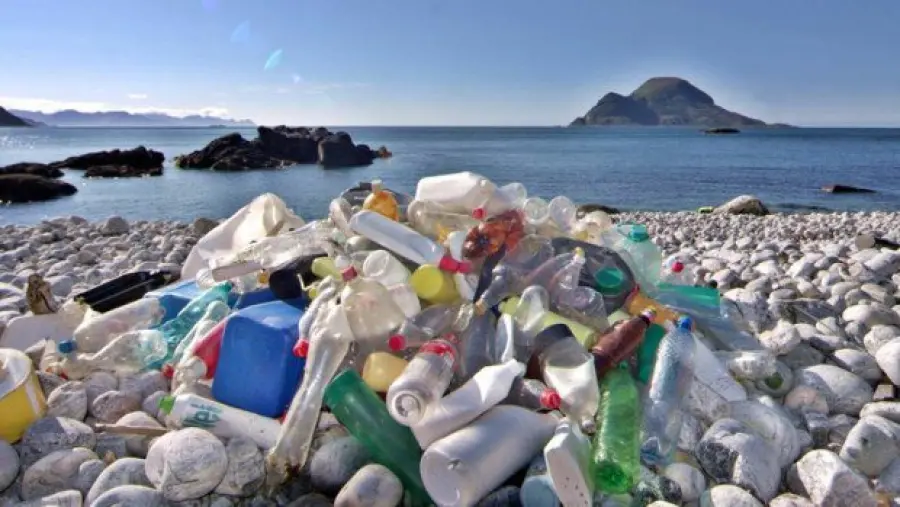 714 rifiuti su 100 metri di spiaggia: plastica e polistirolo al top