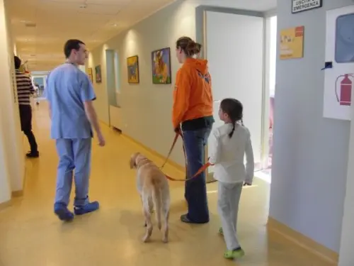 Pet therapy al Careggi: cani nel reparto di Rianimazione