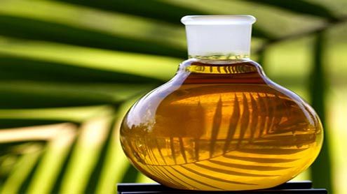 Olio di palma fa male: monito Efsa