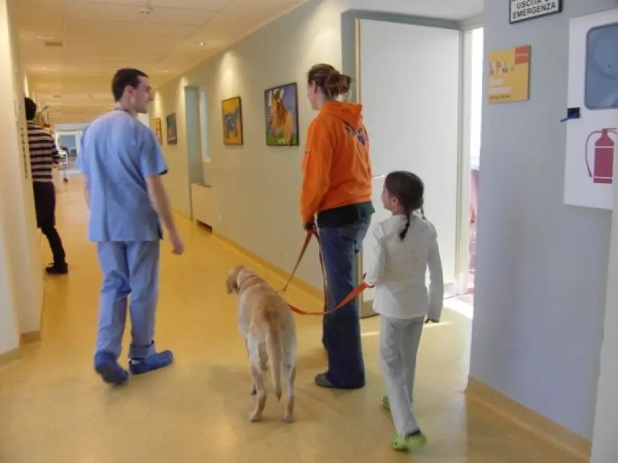 Pet therapy al Careggi: cani nel reparto di Rianimazione
