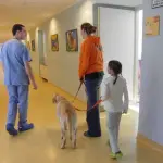 Pet therapy al Careggi: cani nel reparto di Rianimazione