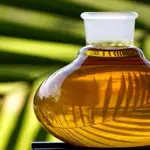 Olio di palma fa male: monito Efsa