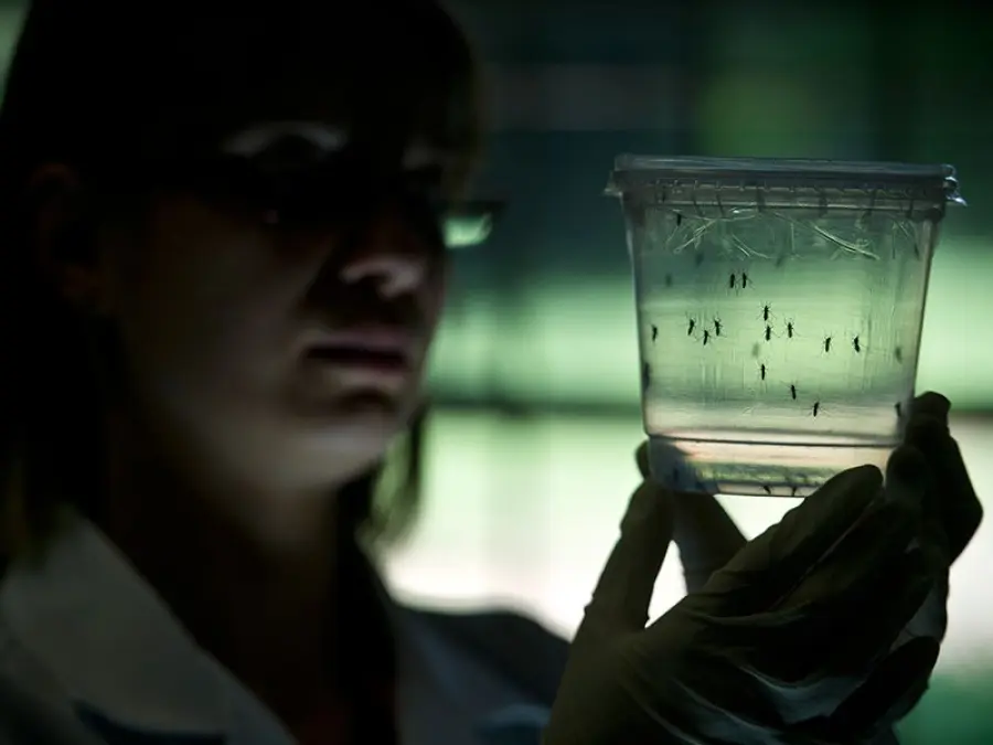 Virus Zika causa gravi danni neurologici ai neonati