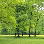 Vivere in campagna riduce tasso di mortalità