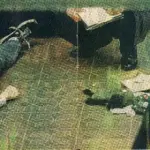 Kurt Cobain moriva 22 anni fa: poeta maledetto del rock