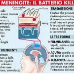 Meningite, nuovo caso nell'empolese: si va verso la vaccinazione obbligatoria?