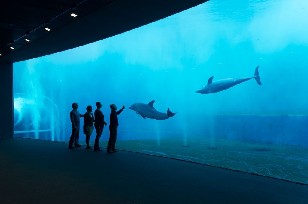 Acquario di Genova: restyling da un milione di euro