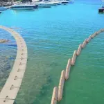 Difendere il mare con lana di pecora sarda: progetto Geolana presentato a Cagliari