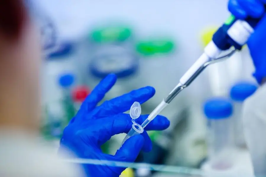 Meningite in Toscana: Annuncio Lorenzin Danneggia Turismo