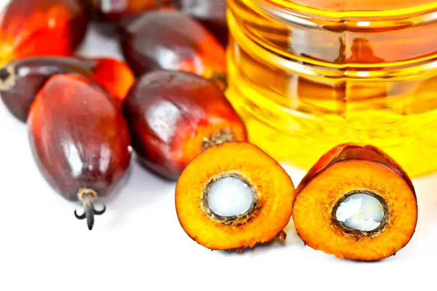 Olio di Palma Salvato Dall'ISS: Dannoso come Burro