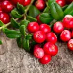 Dieta Smart Food: Cibi 'Amici' della Linea che Fanno Vivere di più