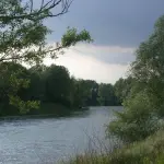 Verona: Madre gli Dice di Lasciare Casa, la Uccide e Getta Corpo Nell'Adige