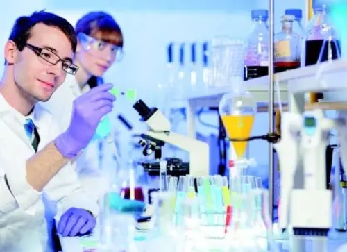 Leucemia Linfatica Cronica Dovuta ai Macrofagi, Cellule del Sistema Immunitario