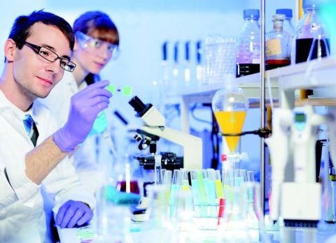 Leucemia Linfatica Cronica Dovuta ai Macrofagi, Cellule del Sistema Immunitario