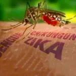 Virus Zika Sintomi, si trasmette anche col sesso? Tutte le epidemie del momento nel mondo!