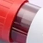 Untore Roma Confessa Rapporto non Protetto con Minorenne