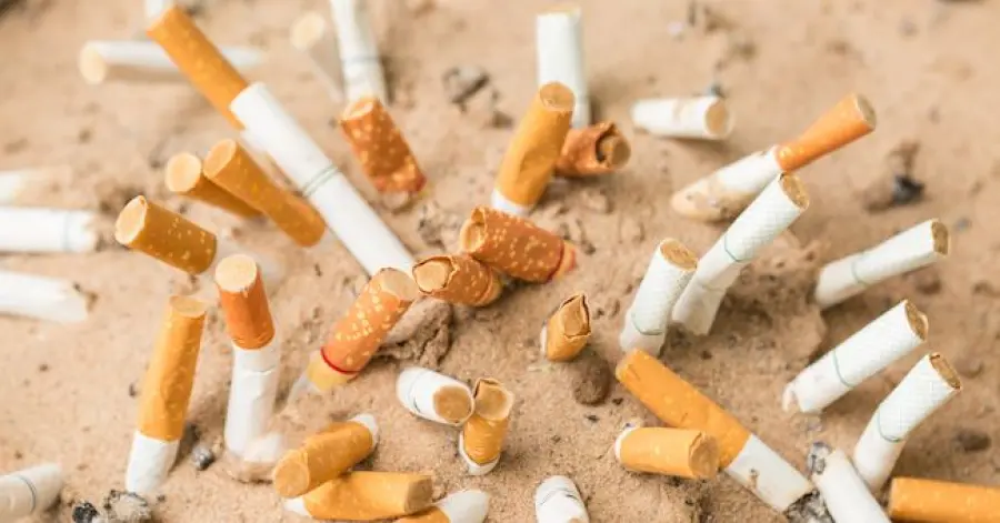 Cicche di sigaretta per terra? Multa da 30 a 300 euro