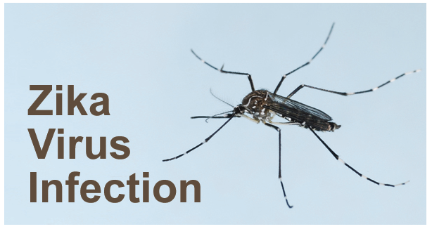 Virus Zika piega Brasile: boom casi microcefalia neonatale