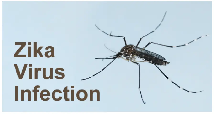 Virus Zika piega Brasile: boom casi microcefalia neonatale