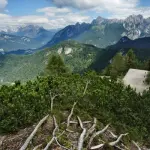 Passeggiata fatale per bellunese: precipita da strada forestale e muore