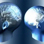 Sesto senso nell'uomo esiste davvero: innesco in gravi situazioni