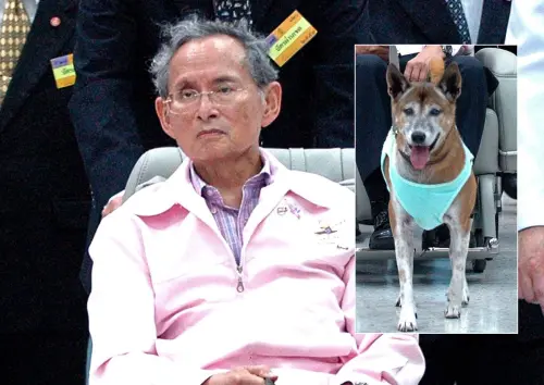 Thailandia, cane re Adulyadej è morto: aveva 17 anni
