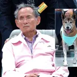 Thailandia, cane re Adulyadej è morto: aveva 17 anni