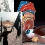 Isis: traffico organi lecito per salvare musulmano, fatwa sconcertante