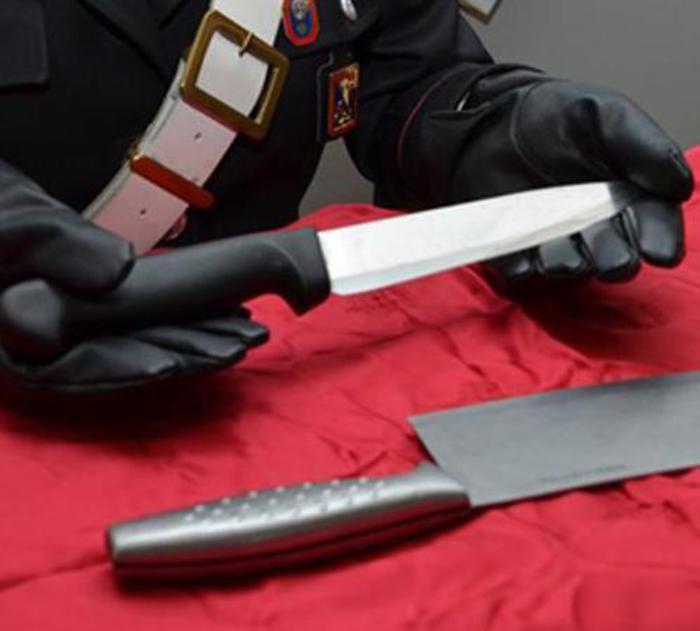 Torino, mannaia e coltello in metro: "Sono cuoco cinese"