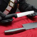 Torino, mannaia e coltello in metro: "Sono cuoco cinese"