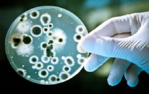 Cina, Batteri Resistenti ad Antibiotici: Era Post-Antibiotica non E' Utopia