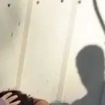 Ferrara, Morta Cloe Govoni: Massacrata in Casa da Romeni