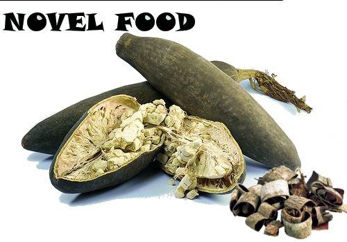 Novel Food, Insetti ed Alghe su Tavole Italiane: Verdi Furiosi