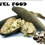 Novel Food, Insetti ed Alghe su Tavole Italiane: Verdi Furiosi