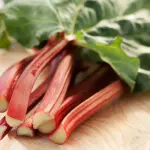 Batterie al Rabarbaro: Economiche e Green, Chinone Fondamentale