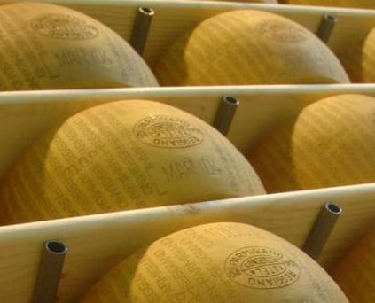 PARMIGIANO REGGIANO, RUBATE OLTRE 2000 FORME: FOGGIANI ARRESTATI