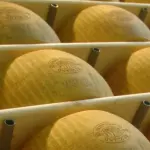 PARMIGIANO REGGIANO, RUBATE OLTRE 2000 FORME: FOGGIANI ARRESTATI