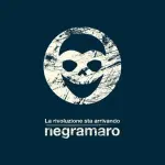 Negramaro svelano copertina 