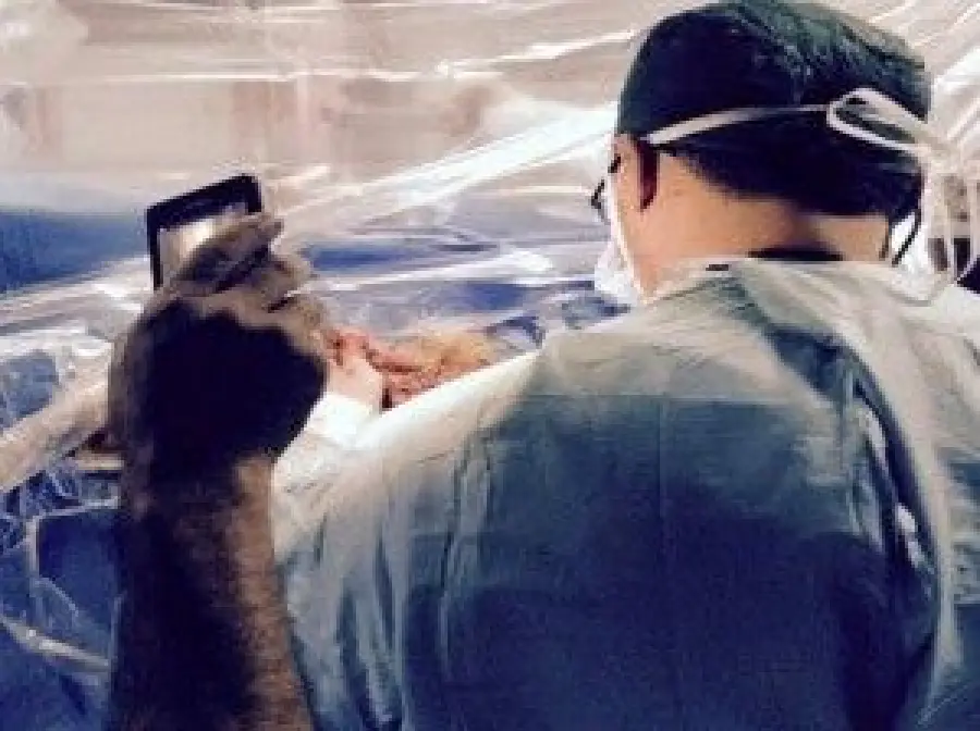 Lecce, cellulare in sala operatoria per fare luce: lampada scialitica rotta