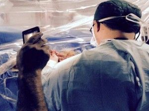 Lecce, cellulare in sala operatoria per fare luce: lampada scialitica rotta