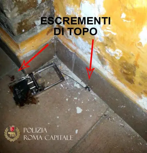 Parioli, bar sequestrato: escrementi topi e cibi ammuffiti