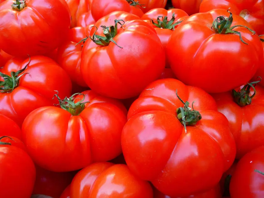 Pomodori perfetti tutto l’anno: il metodo (quasi segreto) dei contadini del Sud